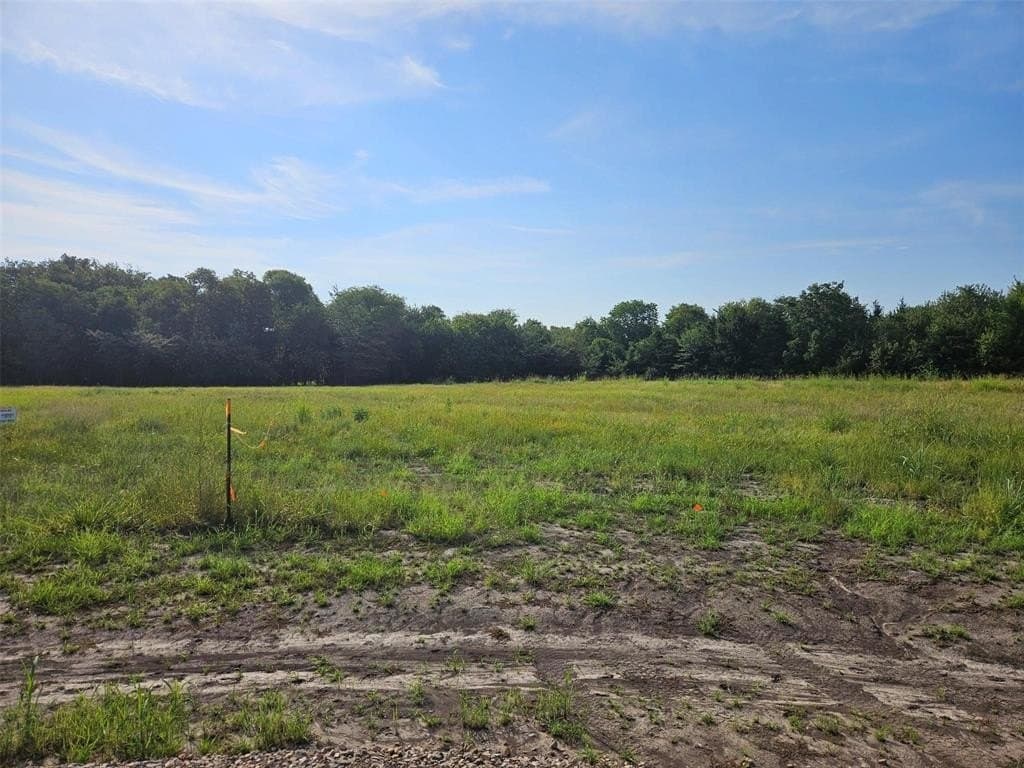 10.1 acres in Lamar County