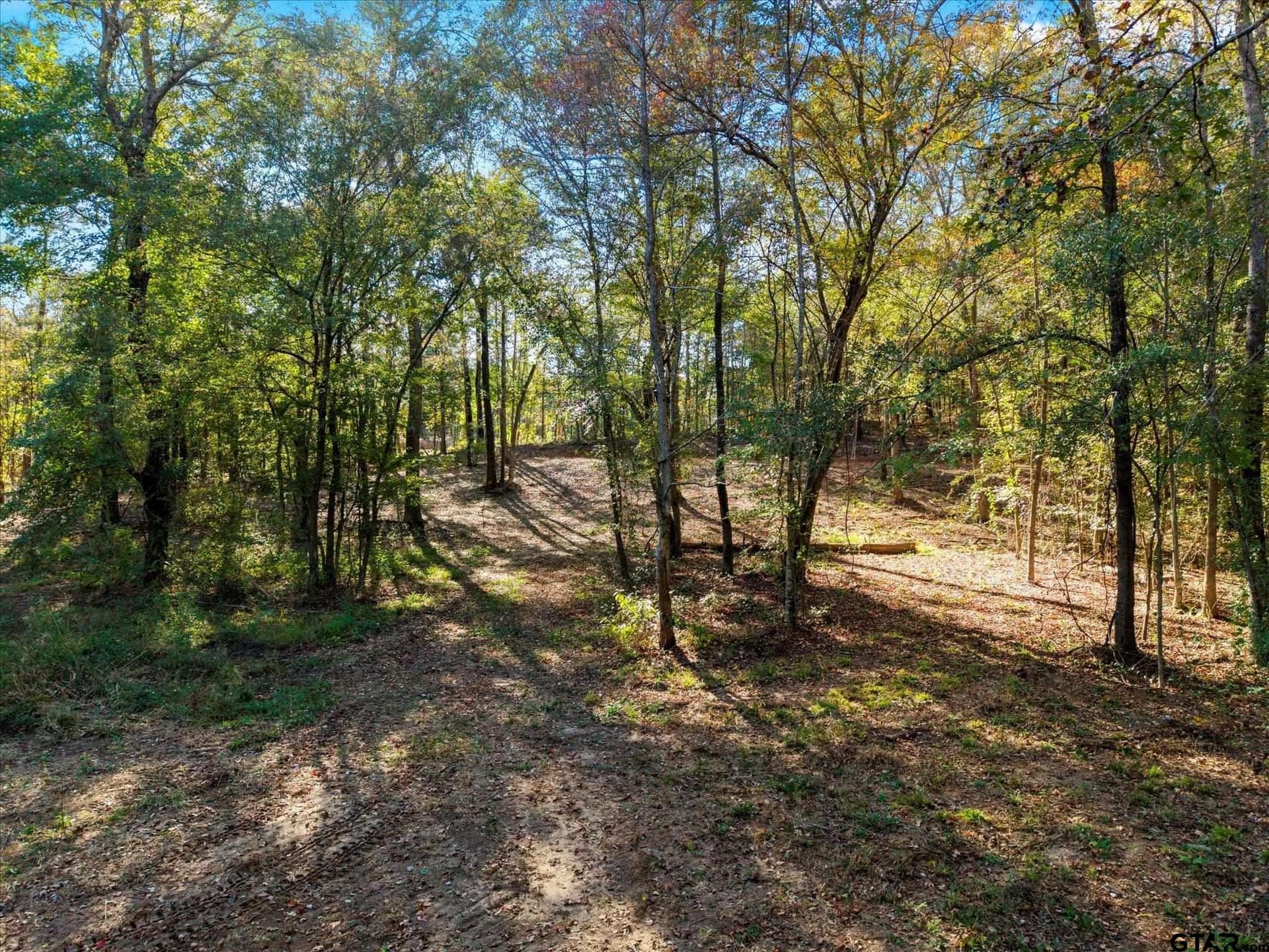 28.13 acres in Upshur County gallery image 4