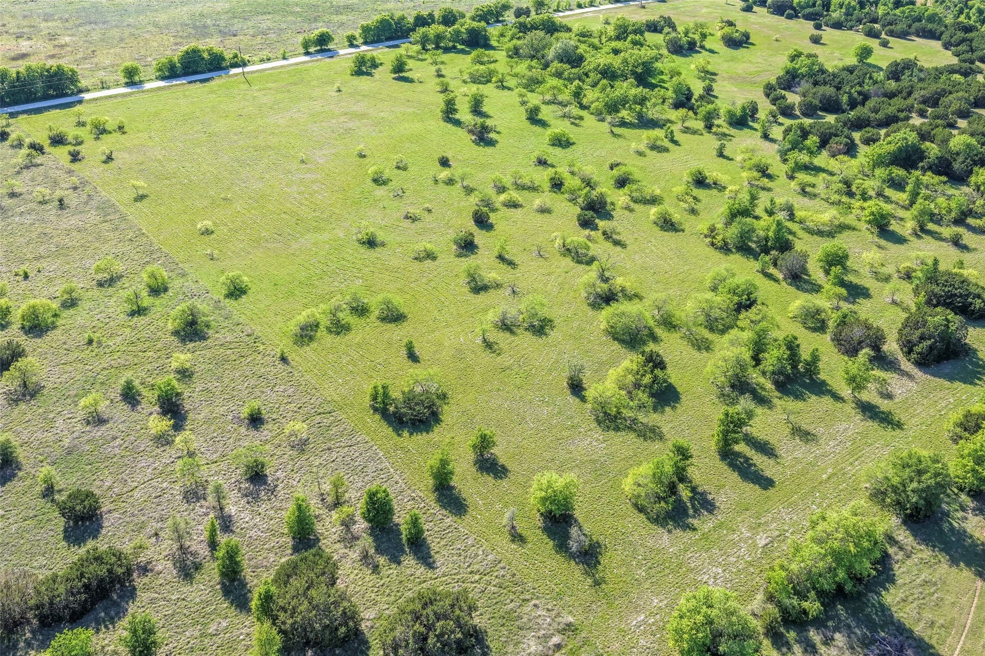 10.01 acres in Hill County - photo 6