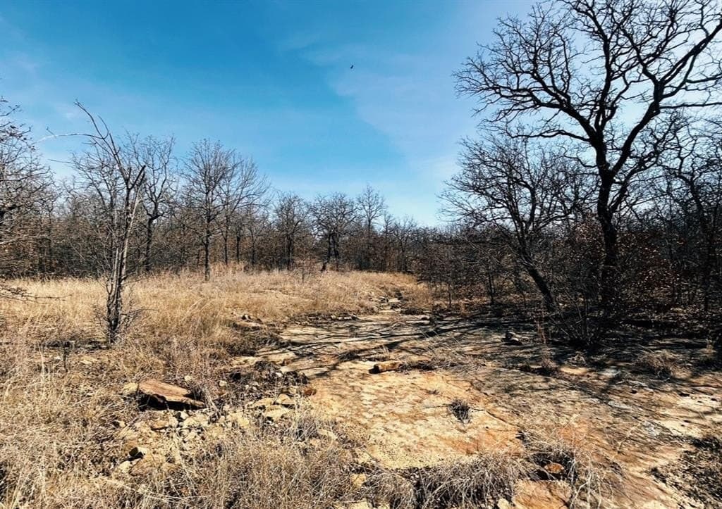 1.01 acres in Wise County featured view