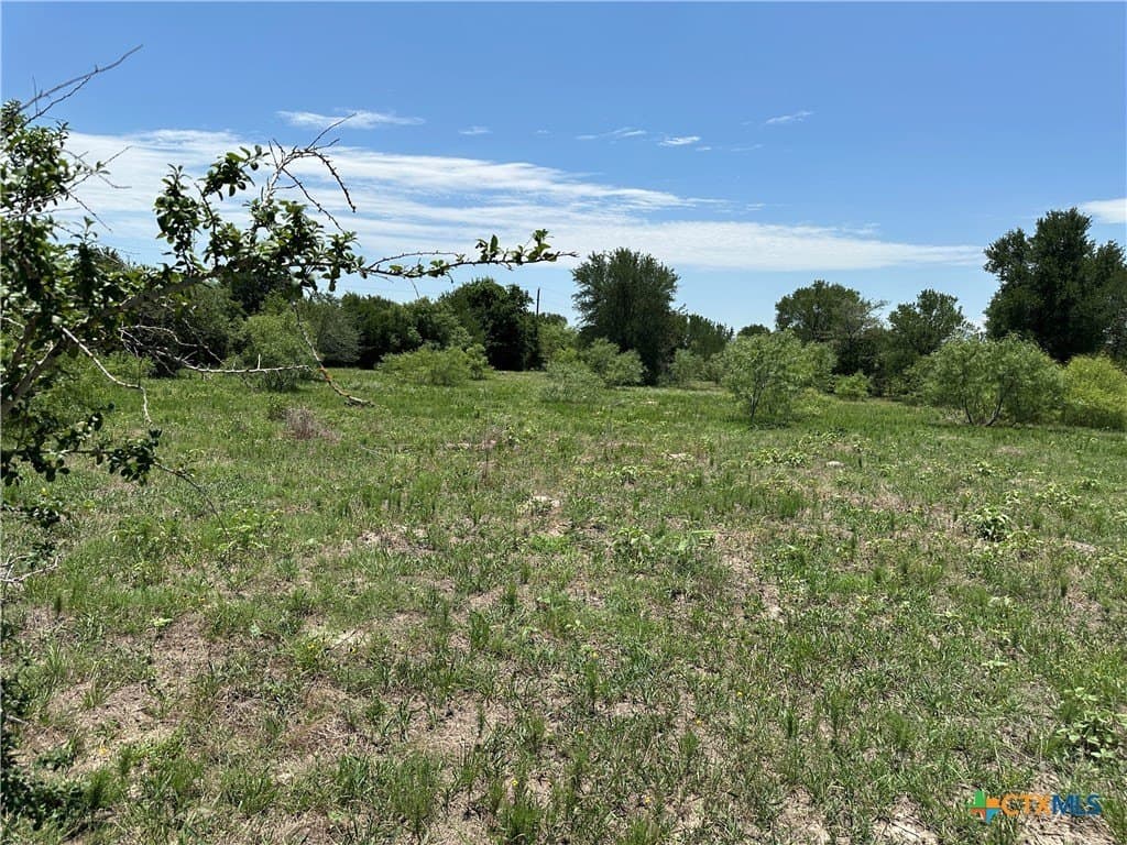10.1 acres in Bastrop County - photo 10