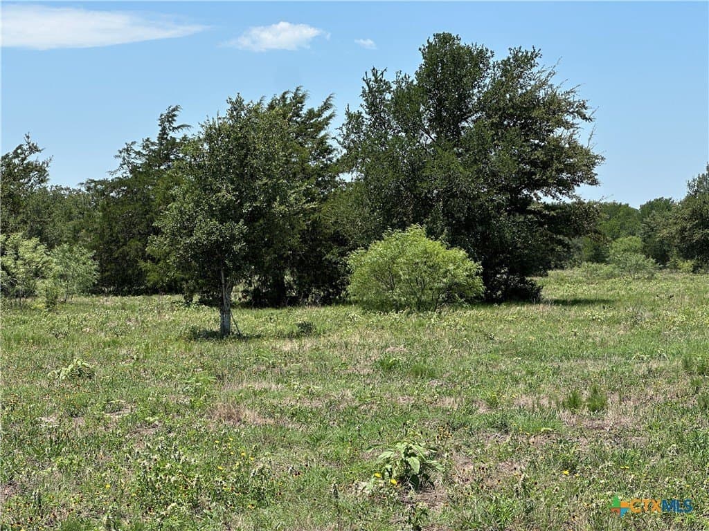 10.1 acres in Bastrop County featured view