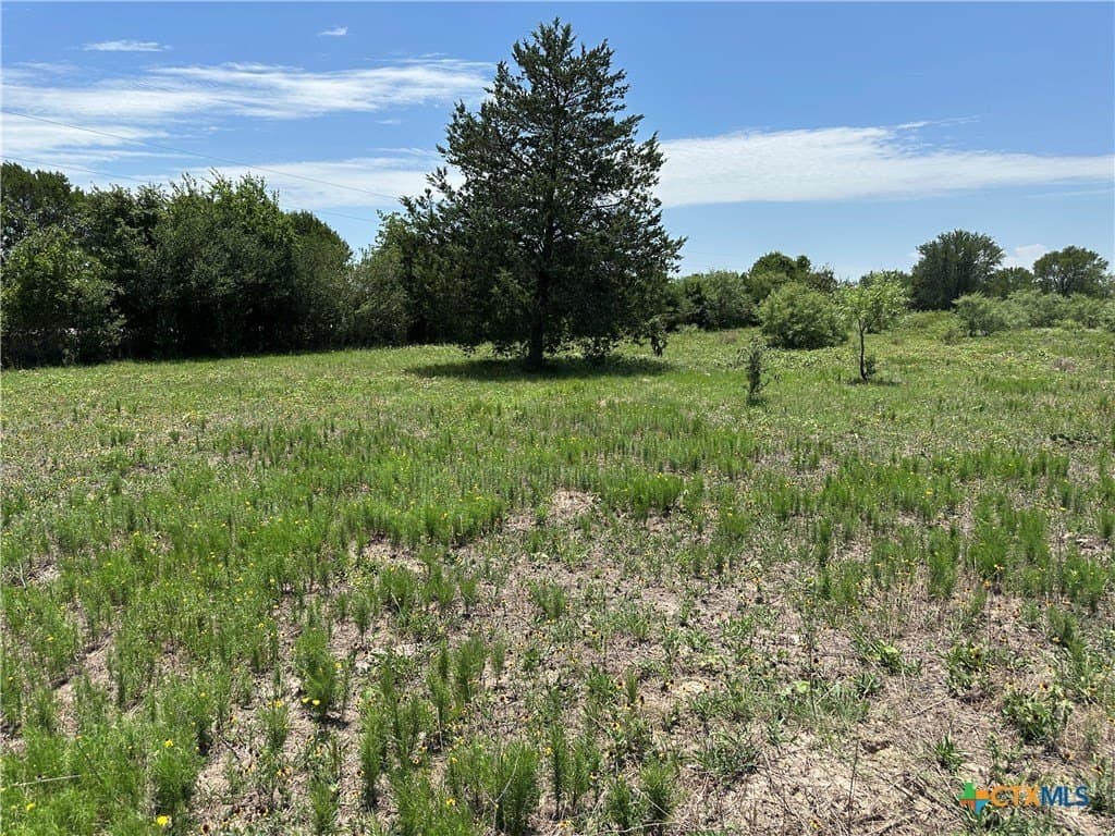 10.1 acres in Bastrop County - photo 9