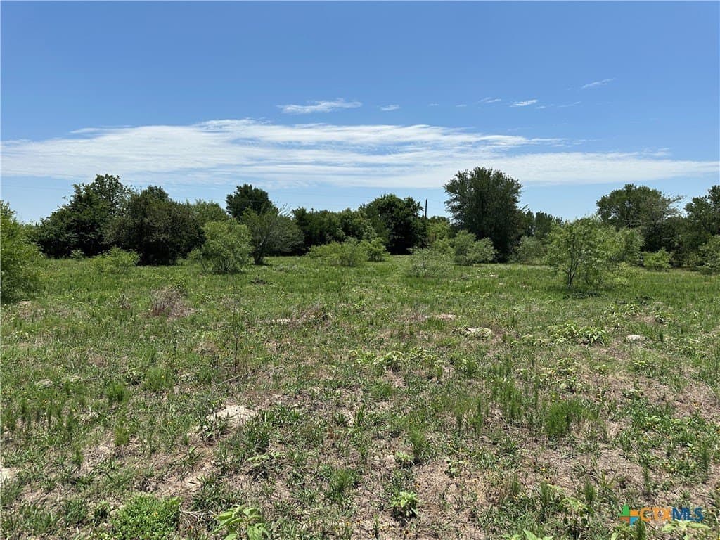 10.1 acres in Bastrop County - photo 12