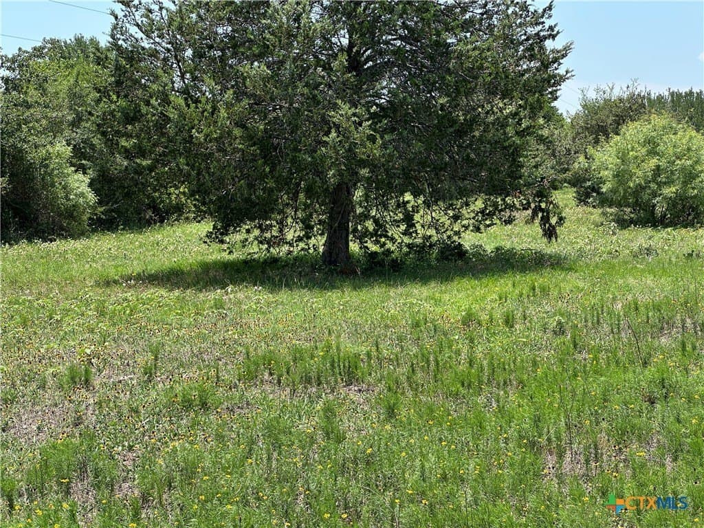 10.1 acres in Bastrop County - photo 6