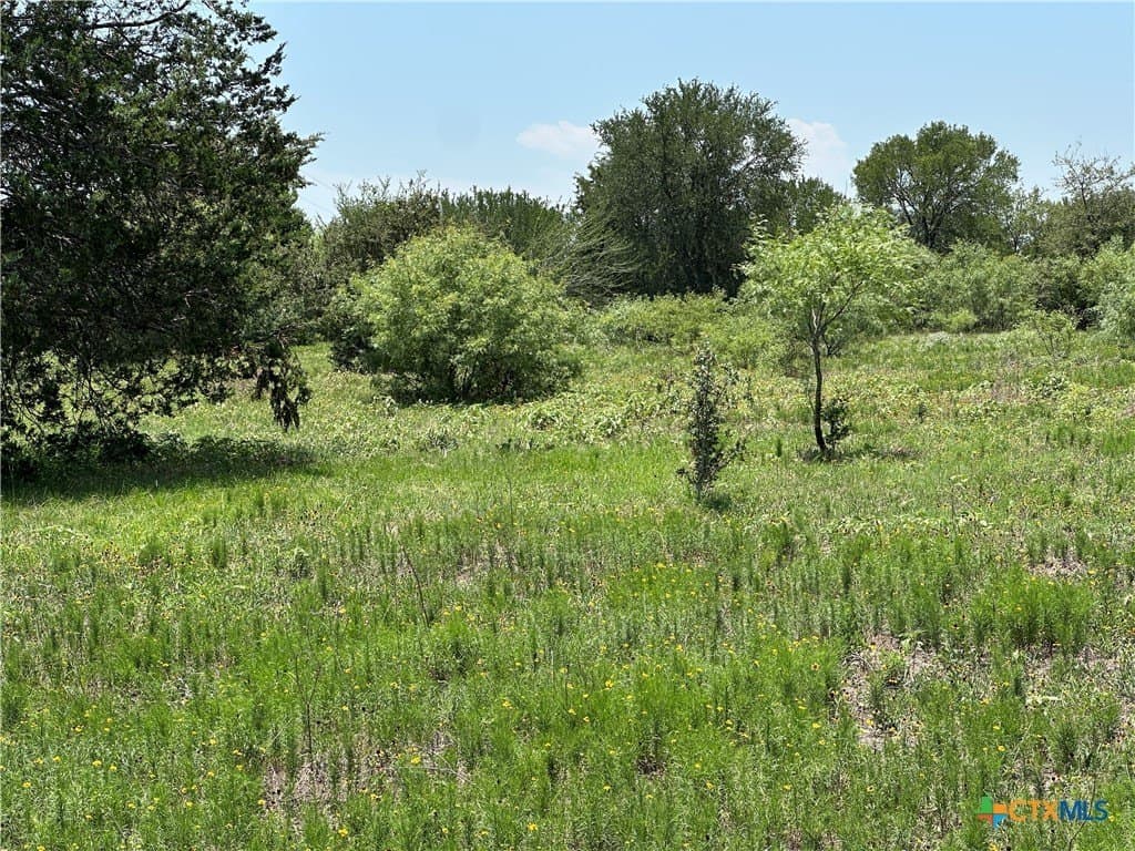 10.1 acres in Bastrop County - photo 7