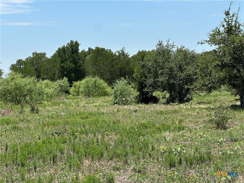 10.1 acres in Bastrop County gallery image 4