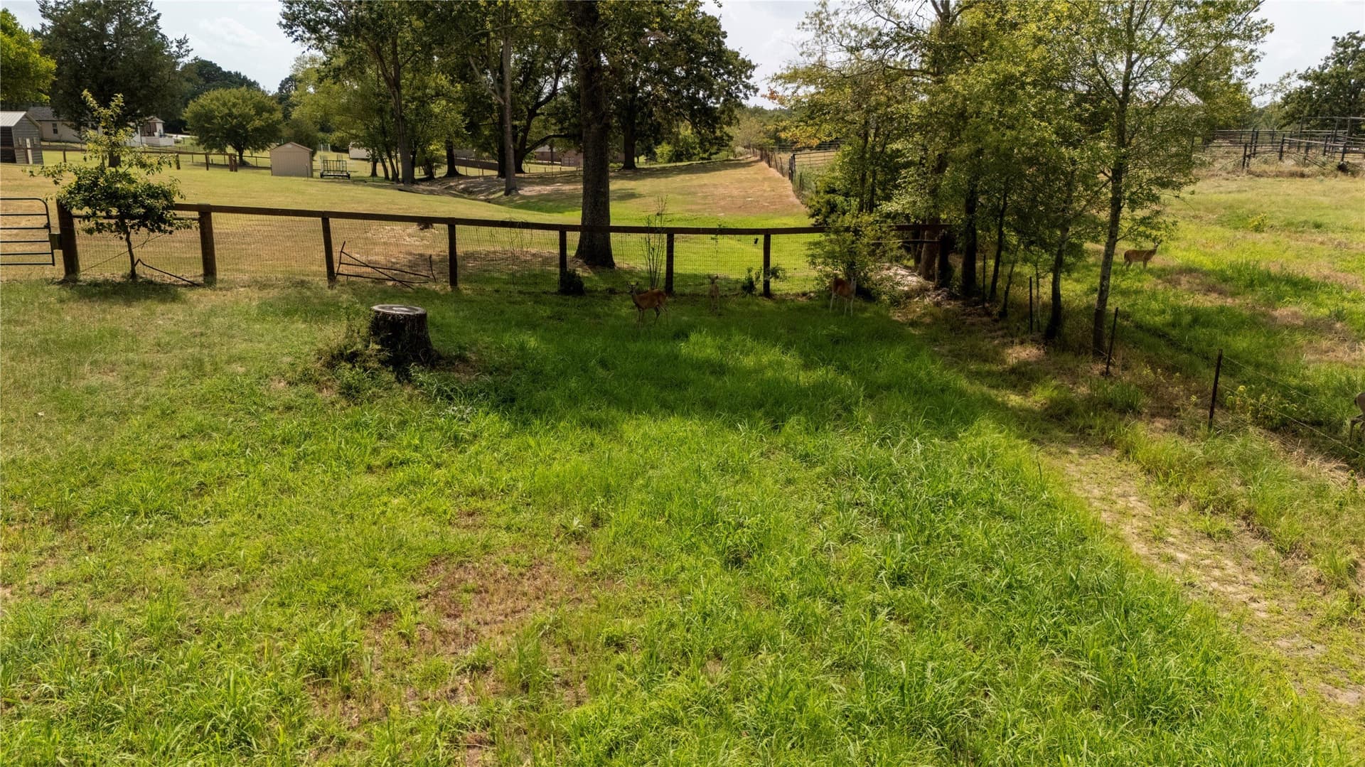 1.86 acres in Henderson County - photo 13