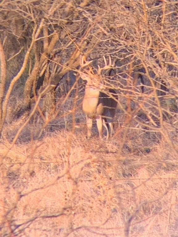 2,240 acres in Runnels County gallery image 2
