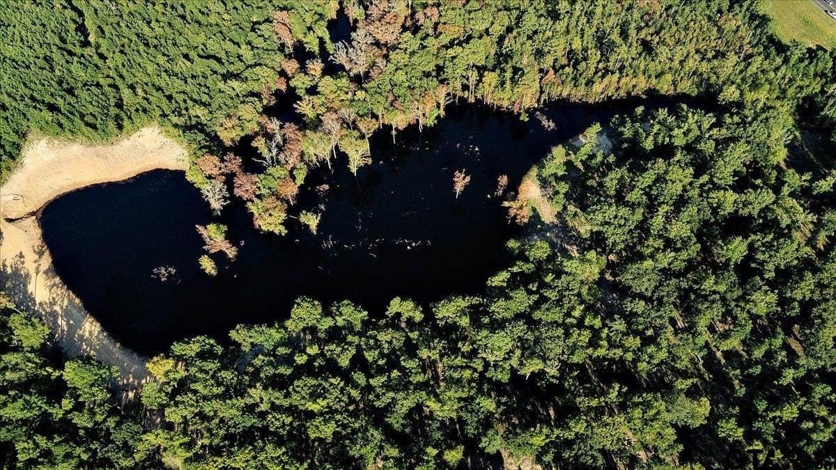 295.63 acres in Smith County - photo 22