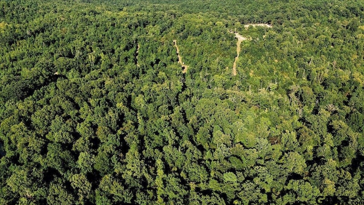 295.63 acres in Smith County - photo 16