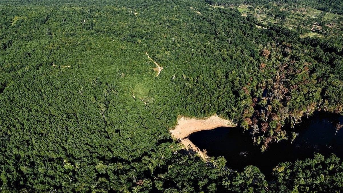 295.63 acres in Smith County - photo 9