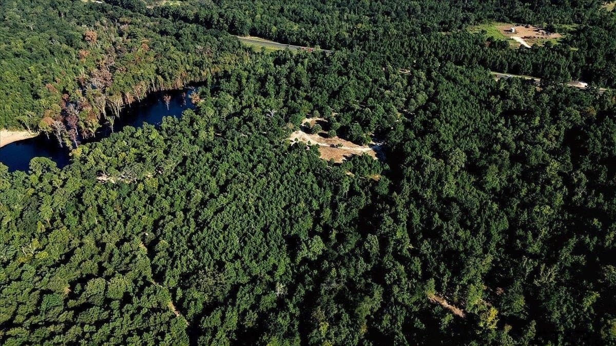 295.63 acres in Smith County - photo 8