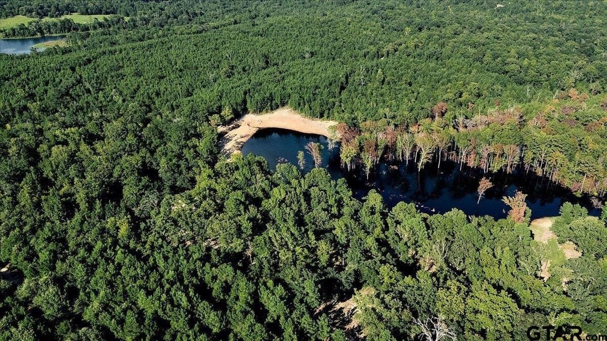 295.63 acres in Smith County - photo 13