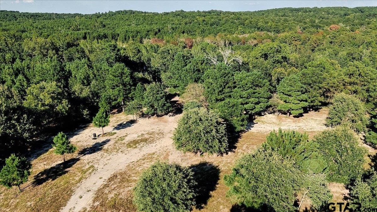 295.63 acres in Smith County - photo 23