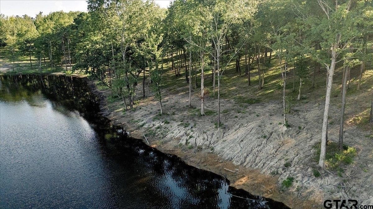 295.63 acres in Smith County - photo 2