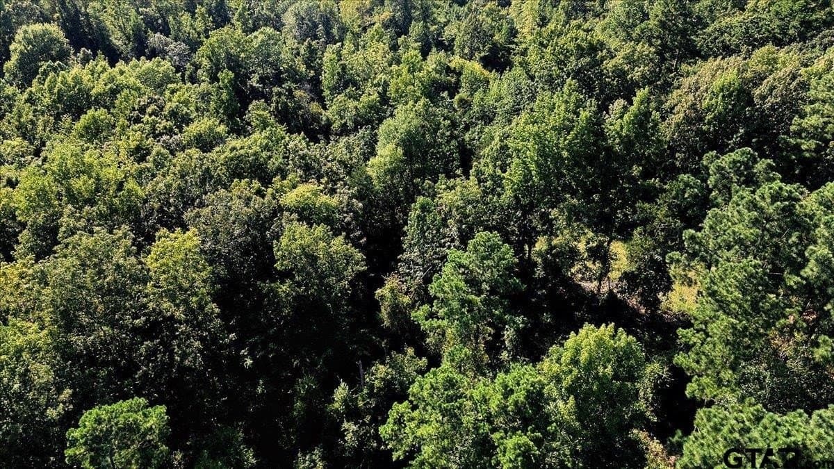 295.63 acres in Smith County - photo 20