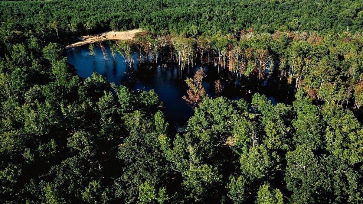 295.63 acres in Smith County - photo 3