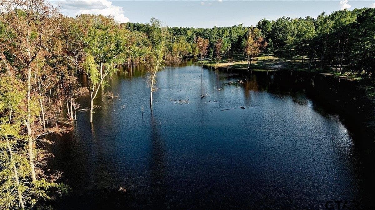 295.63 acres in Smith County