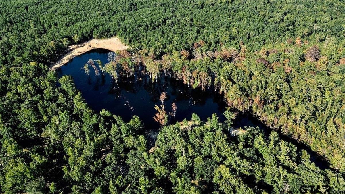 295.63 acres in Smith County - photo 14