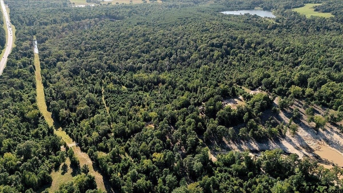 295.63 acres in Smith County - photo 18