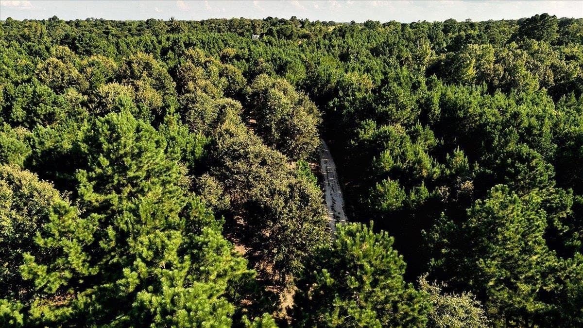 295.63 acres in Smith County - photo 24