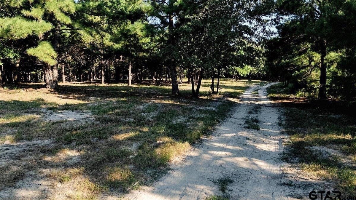 295.63 acres in Smith County - photo 4