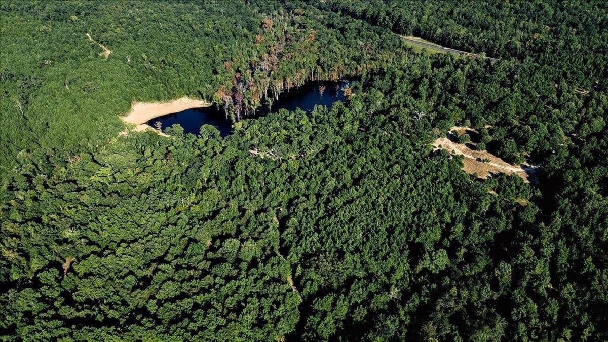 295.63 acres in Smith County - photo 6