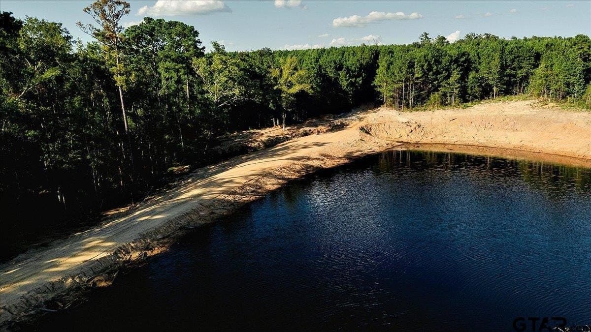 295.63 acres in Smith County - photo 7