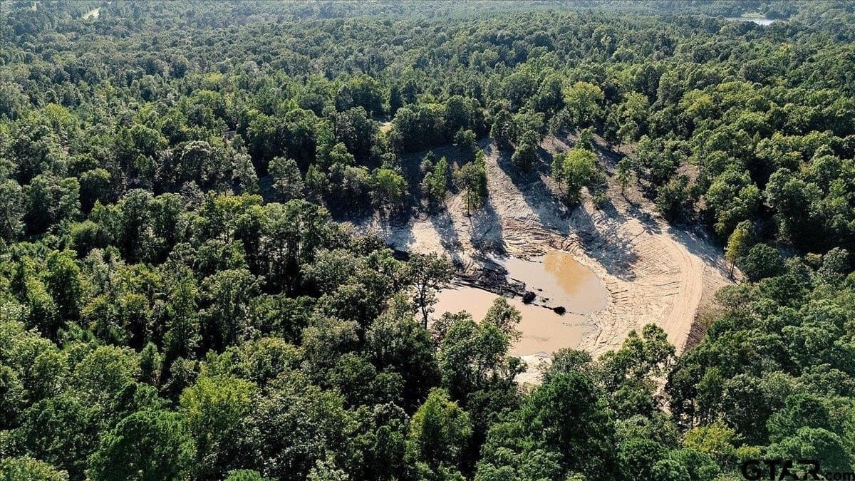 295.63 acres in Smith County - photo 17