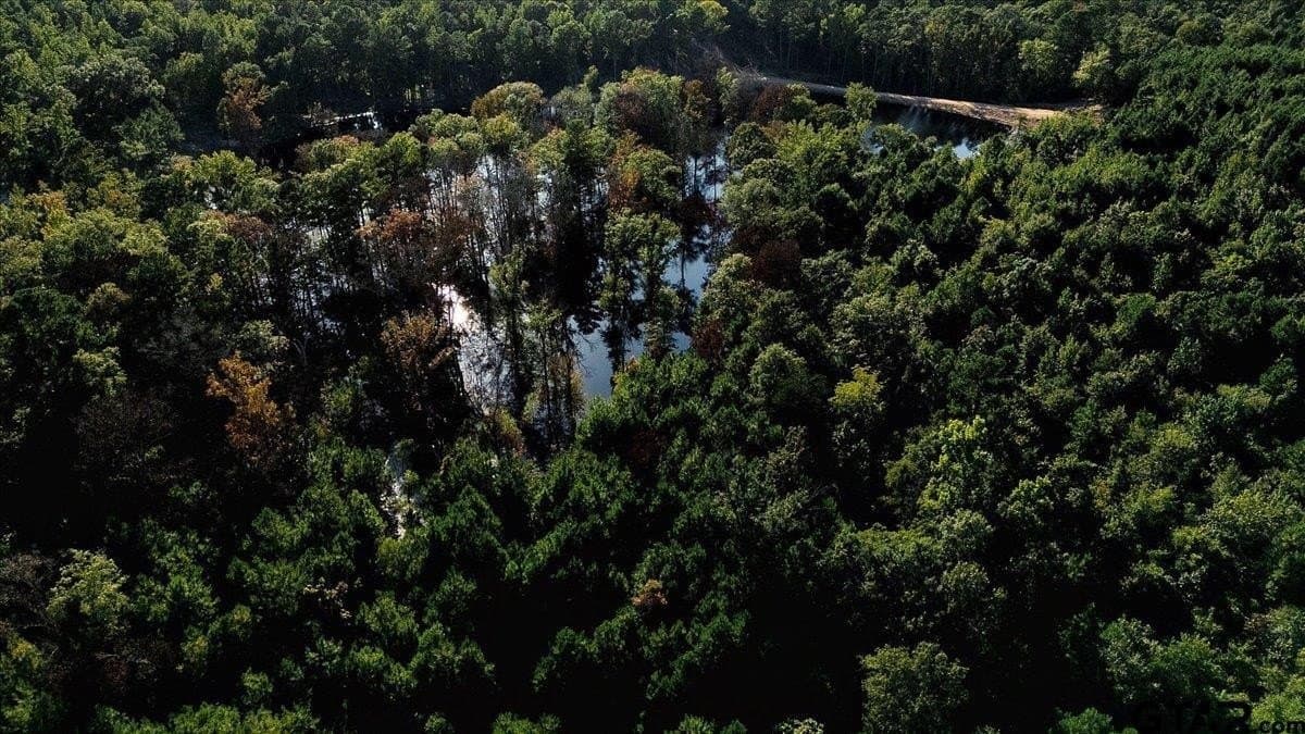 295.63 acres in Smith County - photo 11