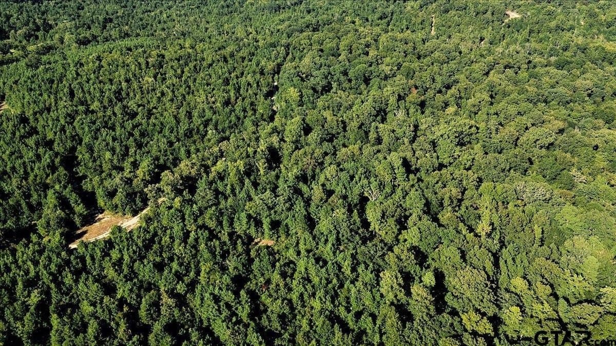 295.63 acres in Smith County - photo 15