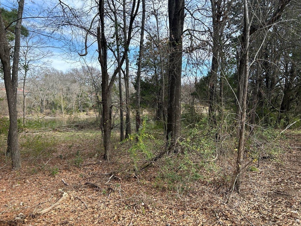 0.92 acres in Henderson County - photo 5