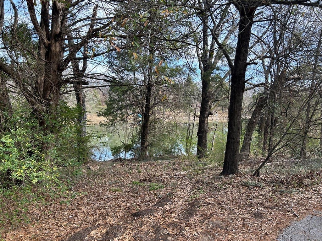 0.92 acres in Henderson County - photo 3
