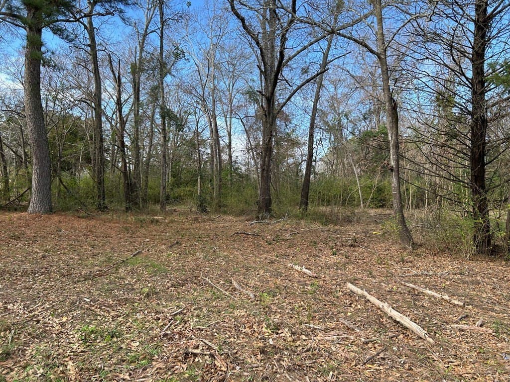 0.92 acres in Henderson County - photo 7