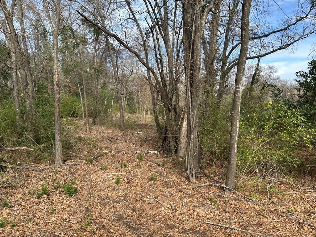 0.92 acres in Henderson County - photo 8