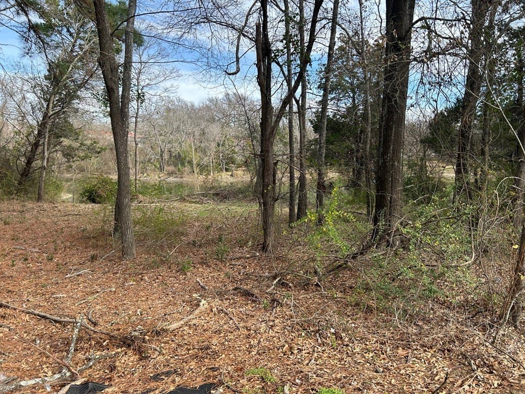 0.92 acres in Henderson County - photo 9