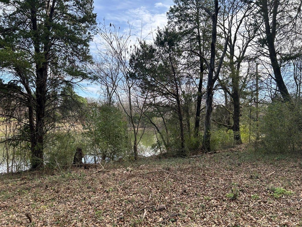 0.92 acres in Henderson County - photo 2