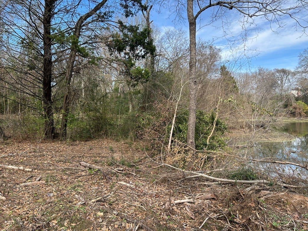 0.92 acres in Henderson County - photo 4