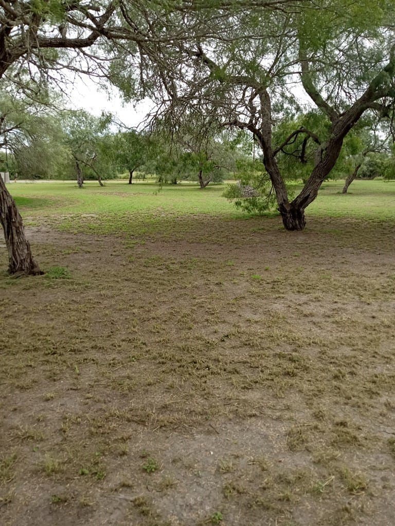 0 acres in Texas County gallery image 2