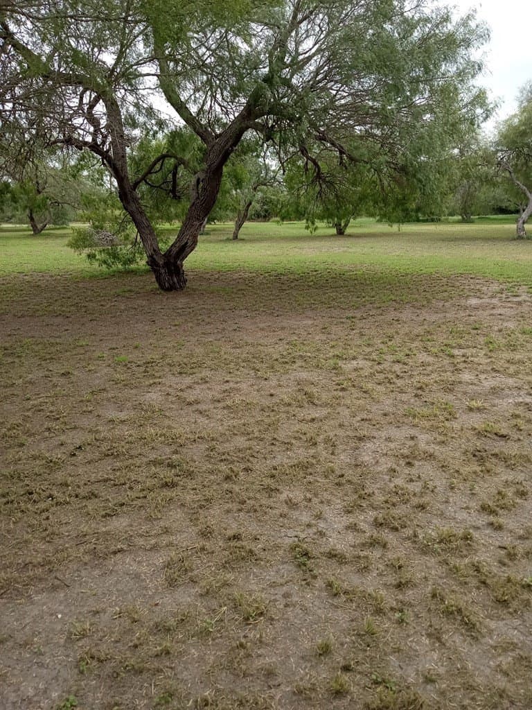 0 acres in Texas County gallery image 4