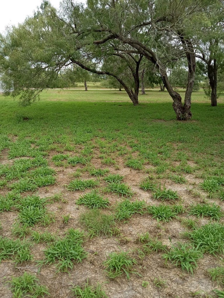 0 acres in Texas County featured view