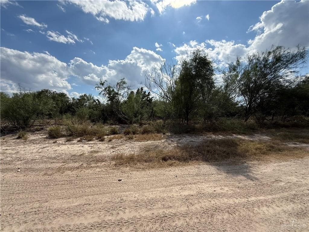 11.62 acres in Starr County gallery image 4