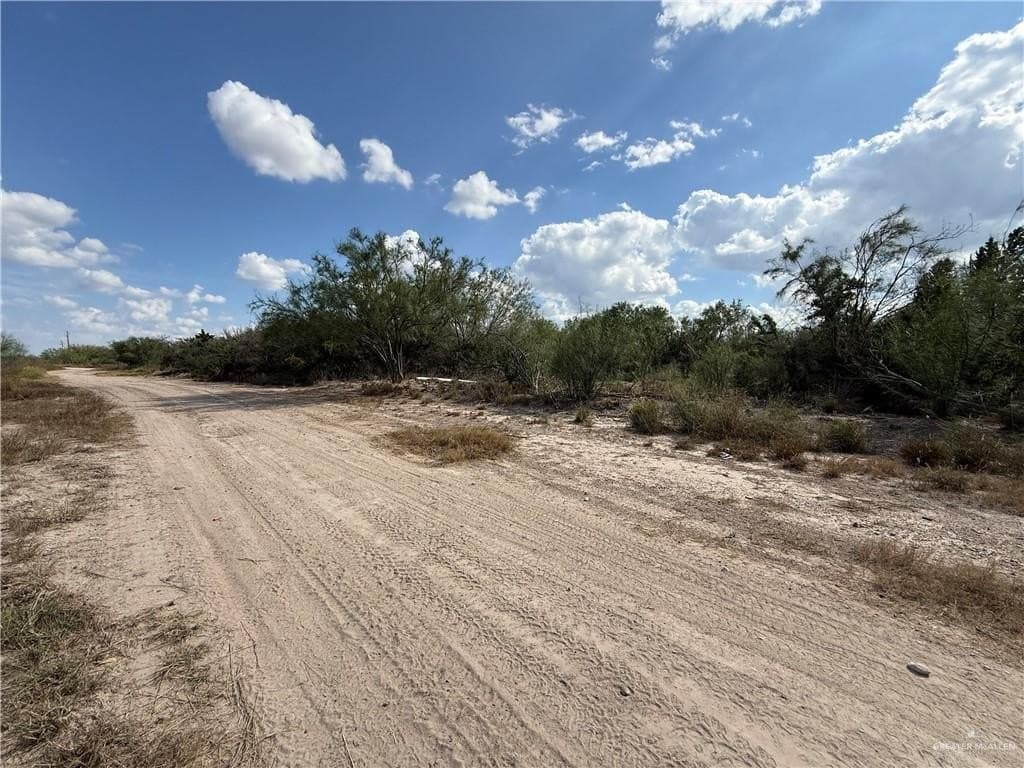 11.62 acres in Starr County gallery image 3