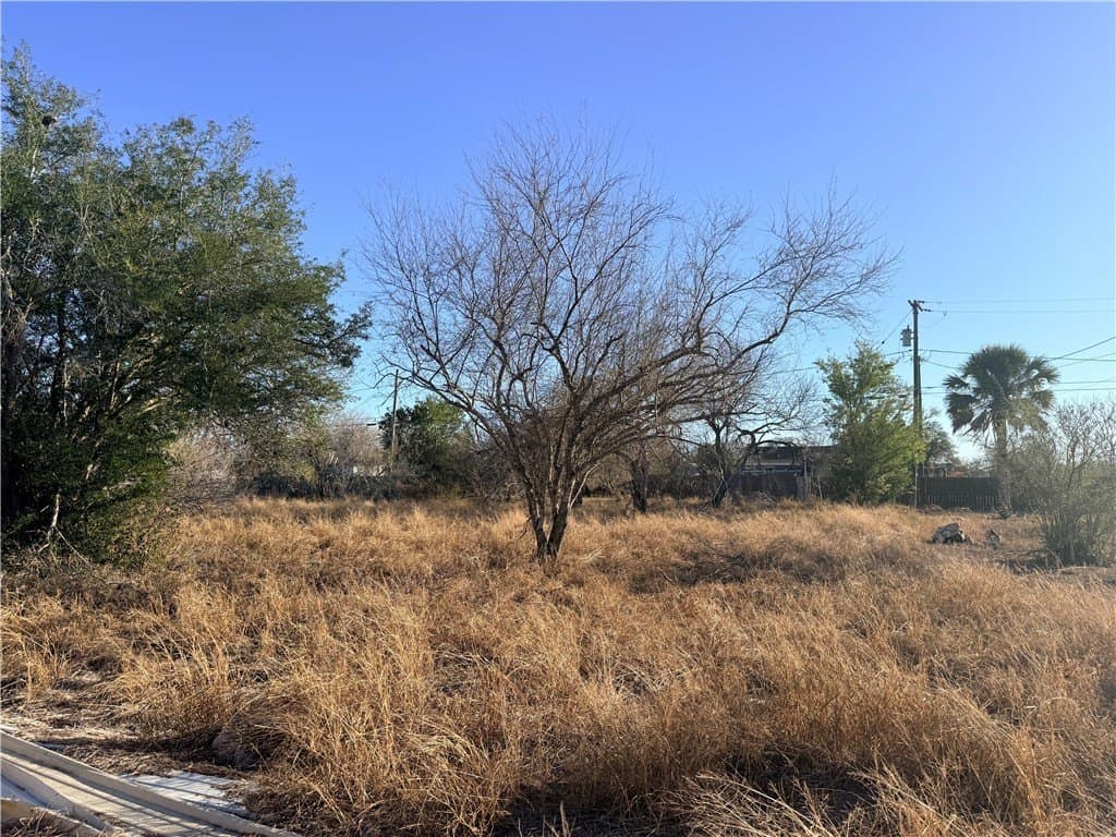 0.21 acres in Nueces County gallery image 2