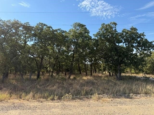 0.25 acres in Montague County