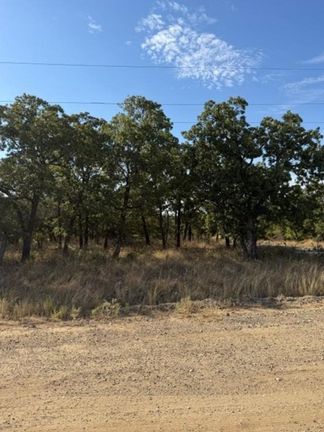 0.25 acres in Montague County - photo 2
