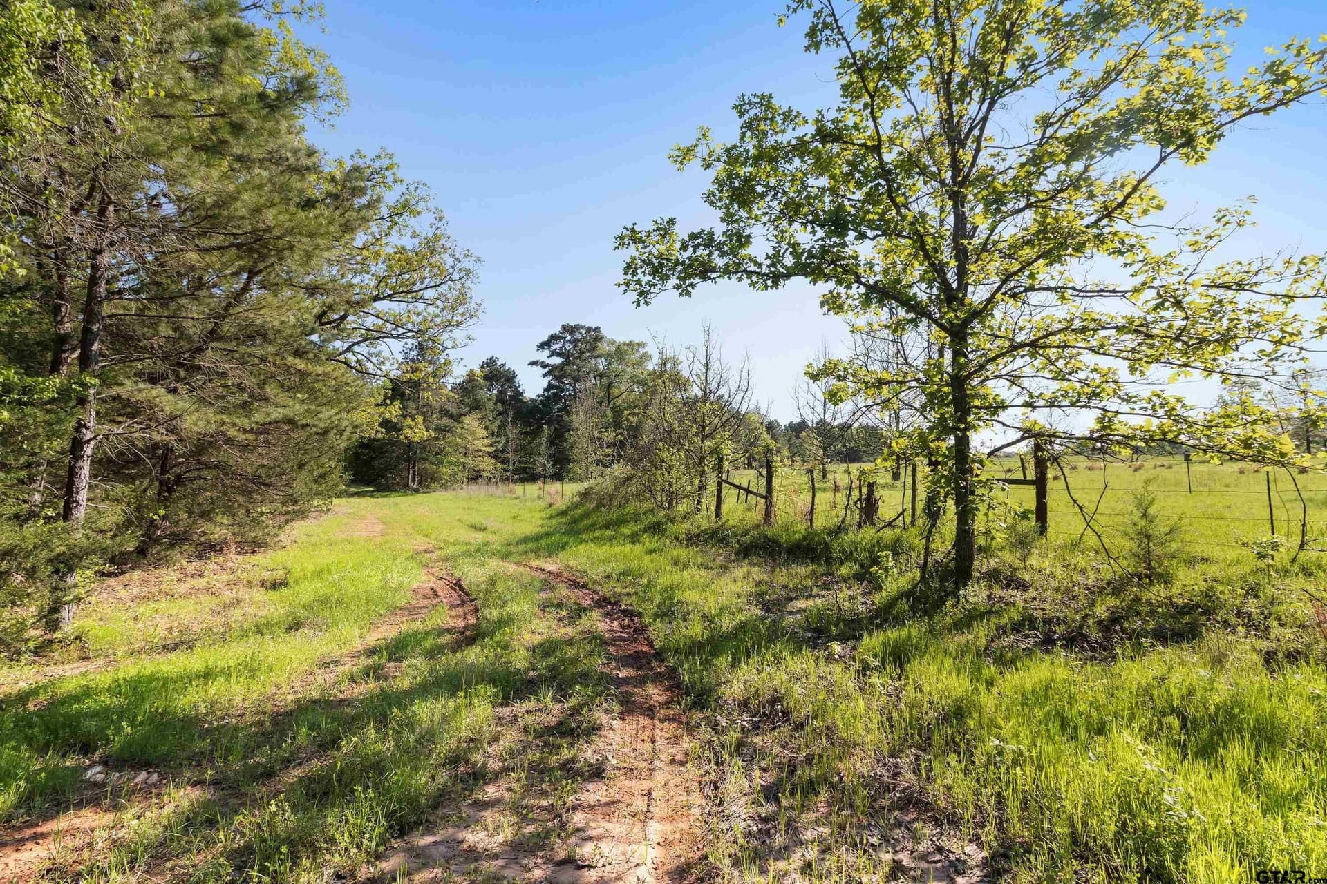 167.75 acres in Wood County featured view
