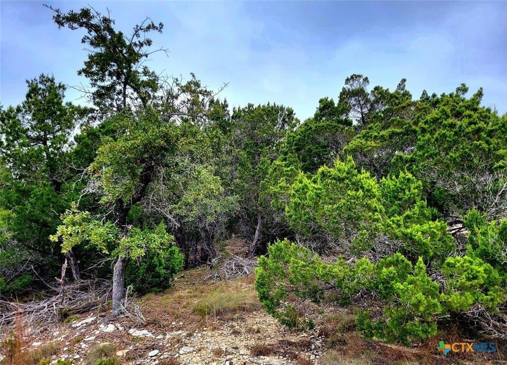 0.92 acres in Comal County - photo 6