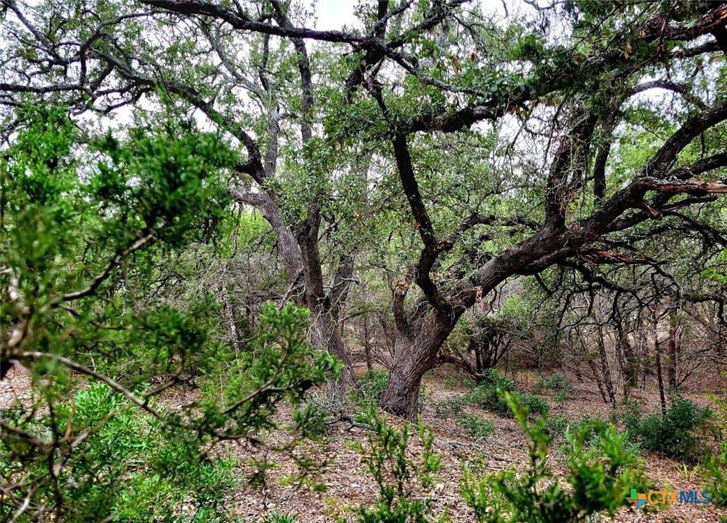 0.92 acres in Comal County - photo 7